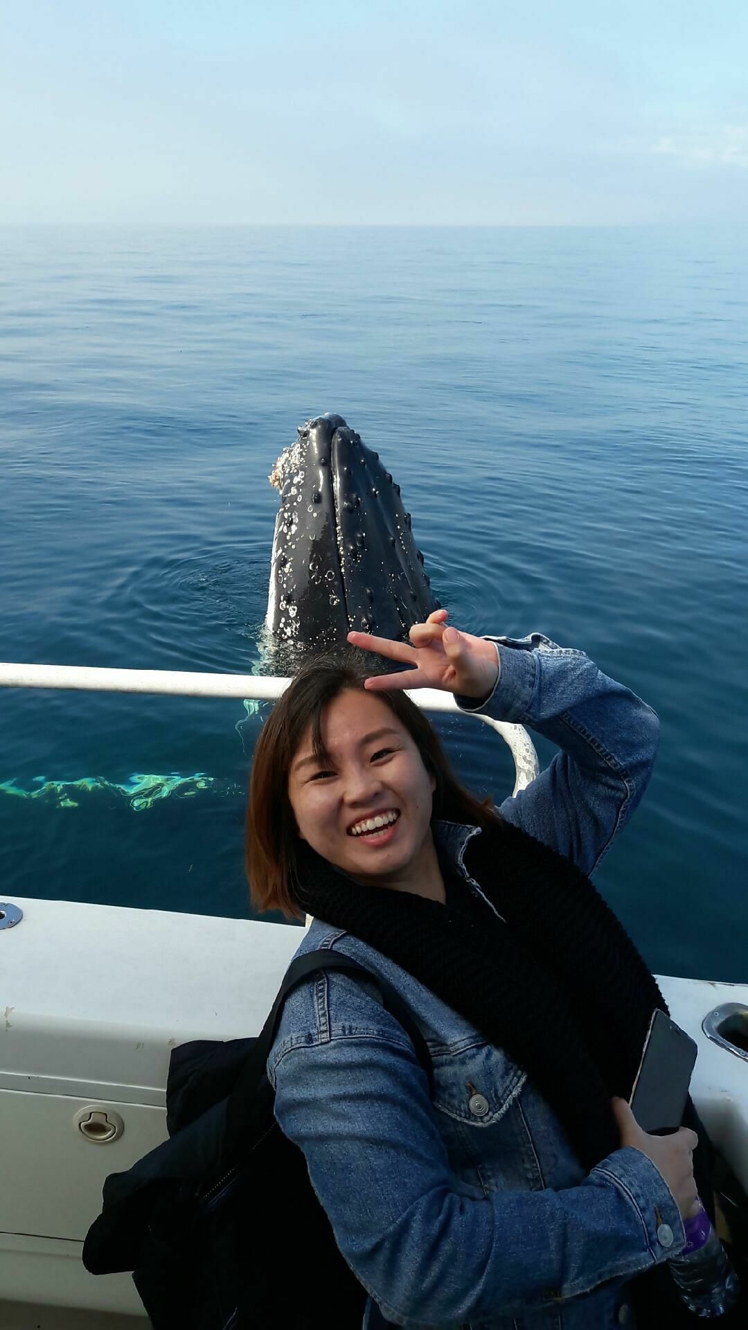 Augusta Whale watching