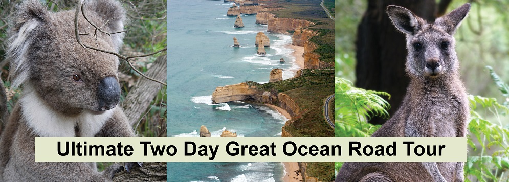 Ultimate 2 Day Great Ocean Road Tour