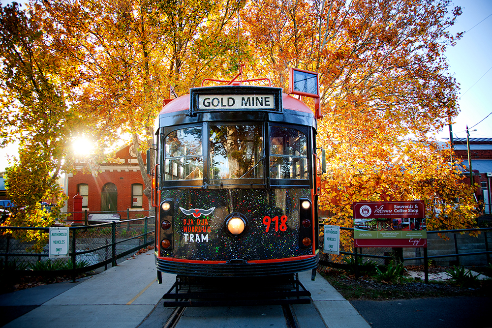 Bendigo, Echuca & The Mighty Murray
