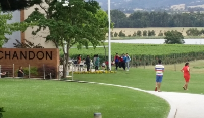 Rayner’s Orchard Tour 3