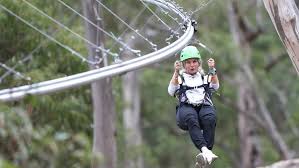 Surf Coast and Livewire Tour