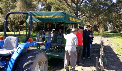 Rayner’s Orchard Tour 3