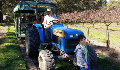Rayner’s Orchard Tour 3