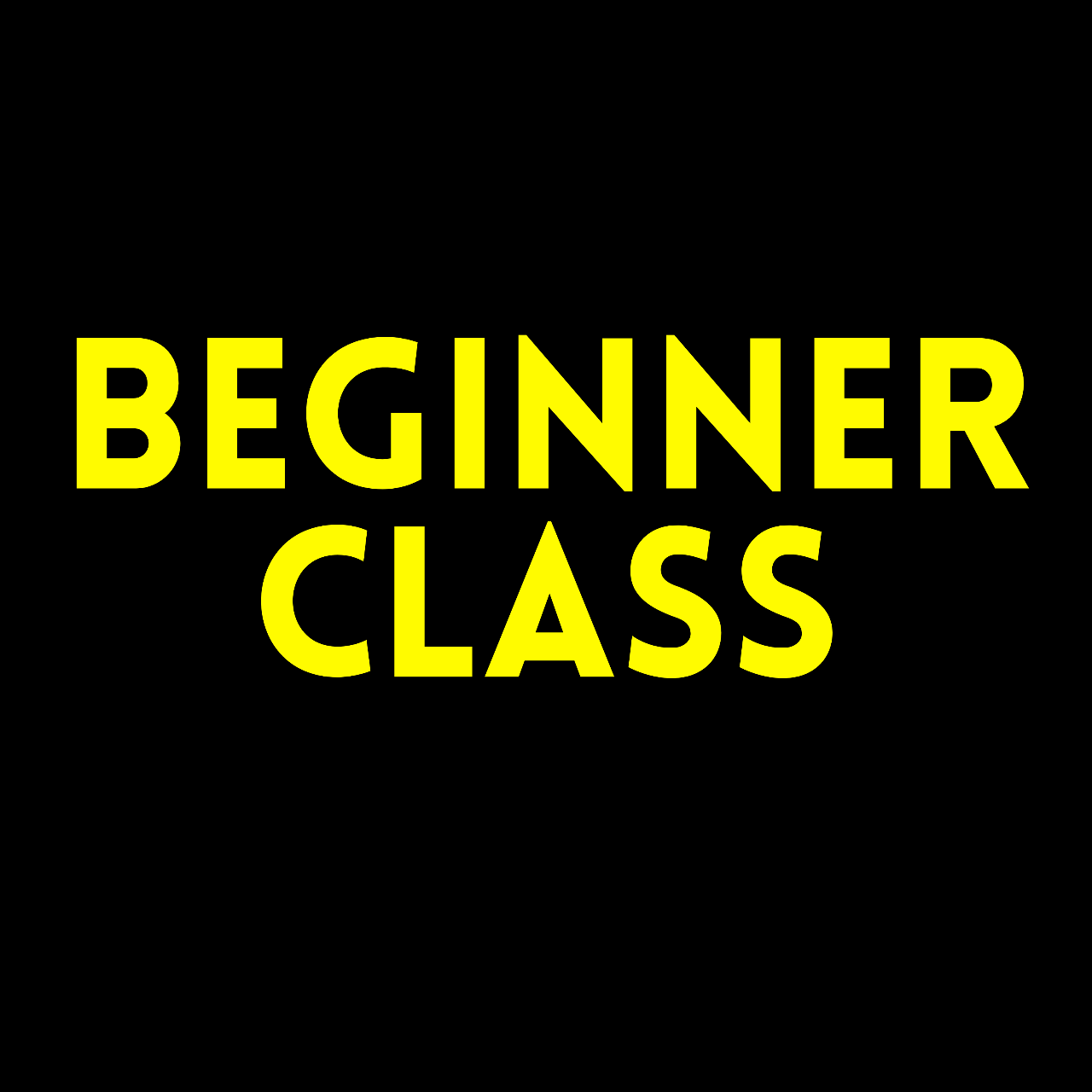 Beginner Class