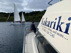 Kakariki Day Time Cruise to Maori Rock Carvings 9am, 11:30am, 2:30pm