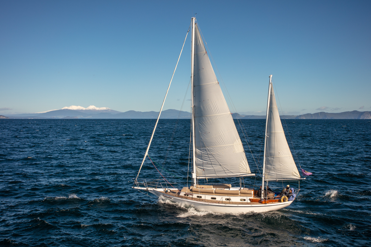 Sail Barbary to the Maori Rock Carvings - day time Cruise