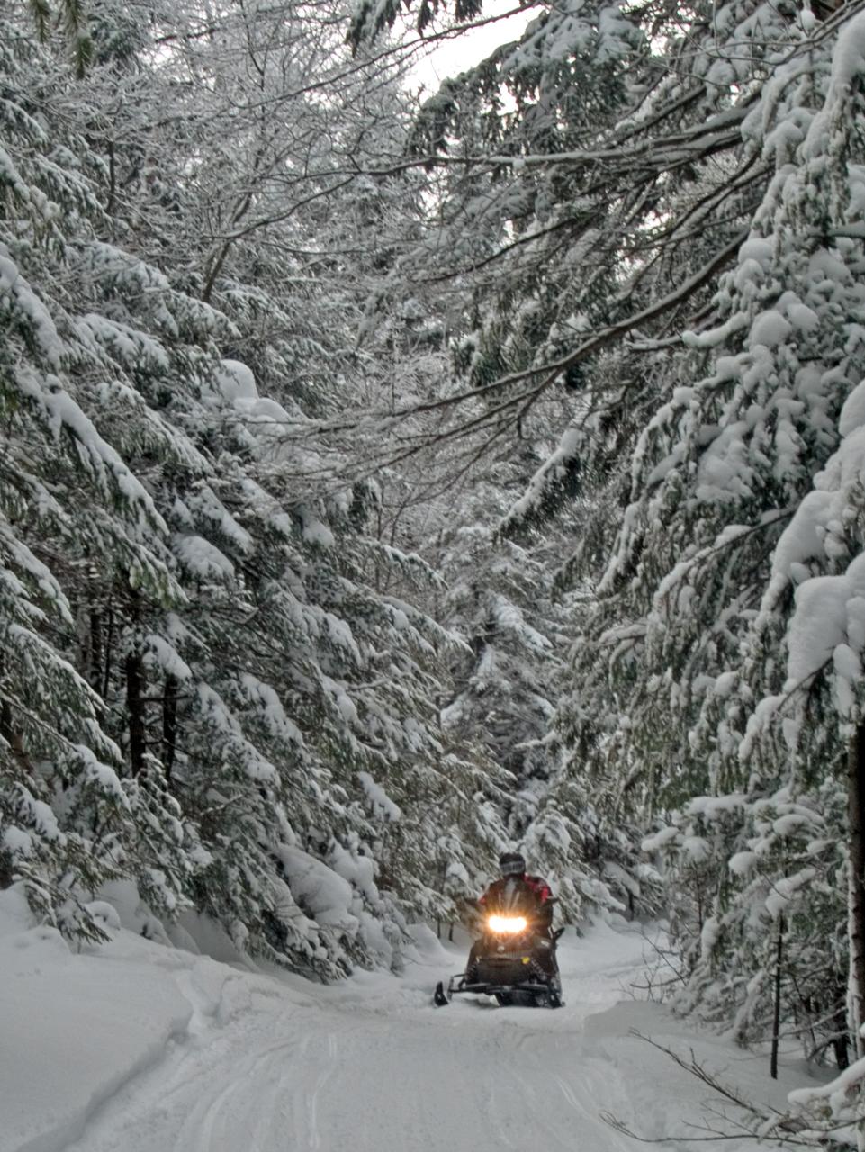 White Mountain Expedition Tour (Single Rider Snowmobile / Guided)