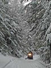 White Mountain Expedition Tour (Single Rider Snowmobile / Guided)