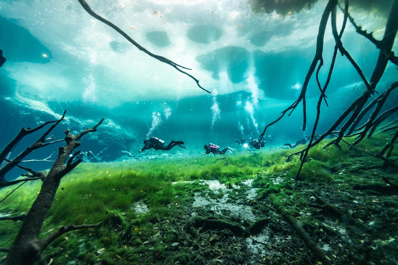  Dive in Casa Cenote & Cenote Carwash