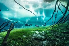  Dive in Casa Cenote & Cenote Carwash