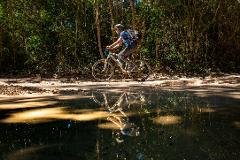 Cenote Trail Bike Tour - Private