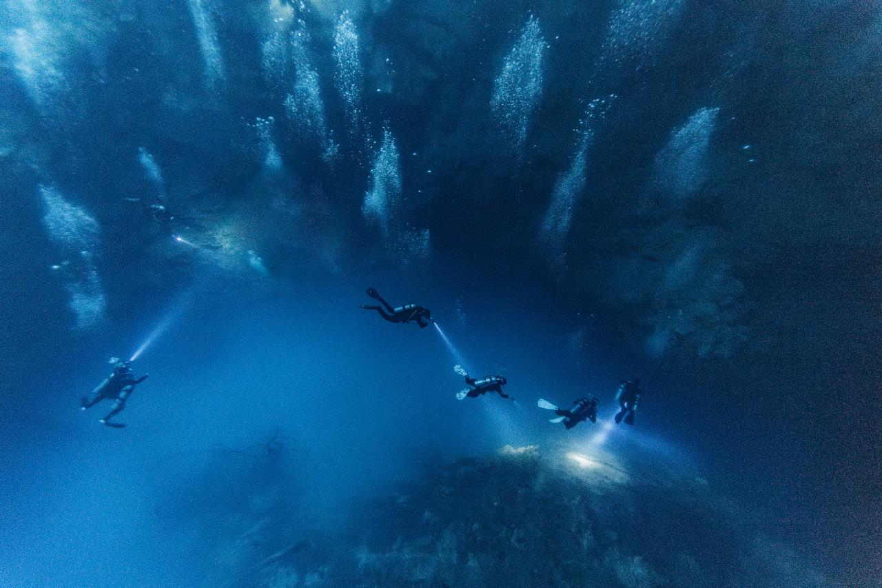 Dive in Cenote El Pit & Cenote Dos Ojos