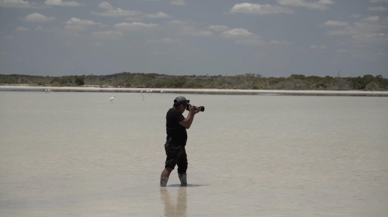 Bird Watching Rio Lagartos - Private & Self Driving