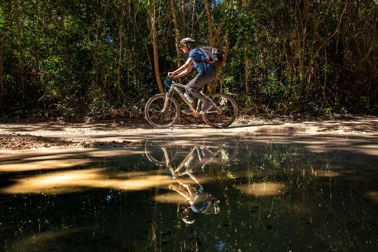 Cenote Trail Bike Tour - 3 Cenotes, Zip Lines, Canoe & Jungle Lunch