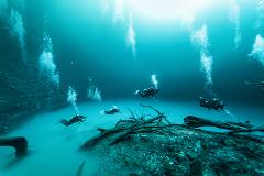 Dive in Cenote Angelita & Cenote Carwash