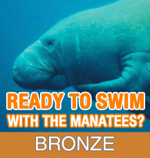 Bronze Tour - Add On Observer Only