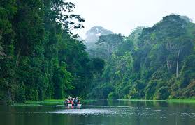 TORTUGUERO EXPEDITION - 2 DAYS AND 1 NIGHT. (Cat)