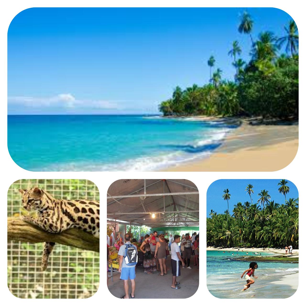 Saturday's Caribe Fun Full Day tour! - Casa Galim