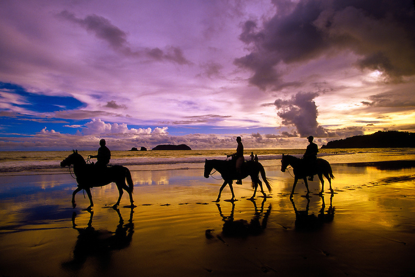 Horseback Riding - One and half hour tour