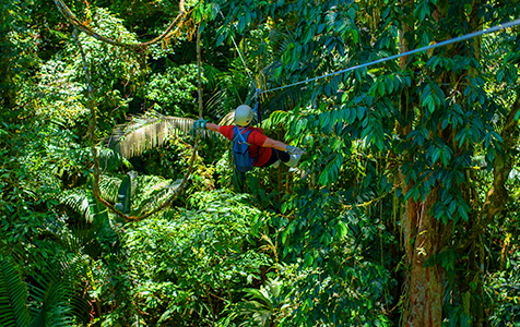 Selva Bananito Experience Canopy observation Platform