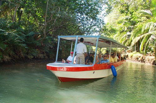 Damas Mangrove Boat Tour