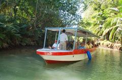 Damas Mangrove Boat Tour