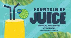 Monday, Wednesday and Friday Fountain of Juice