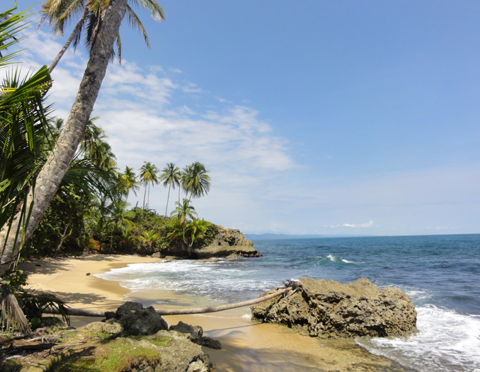 Gandoca-Manzanillo Refuge Hike ( Congo Bongo) - Caribe Fun Tours ...