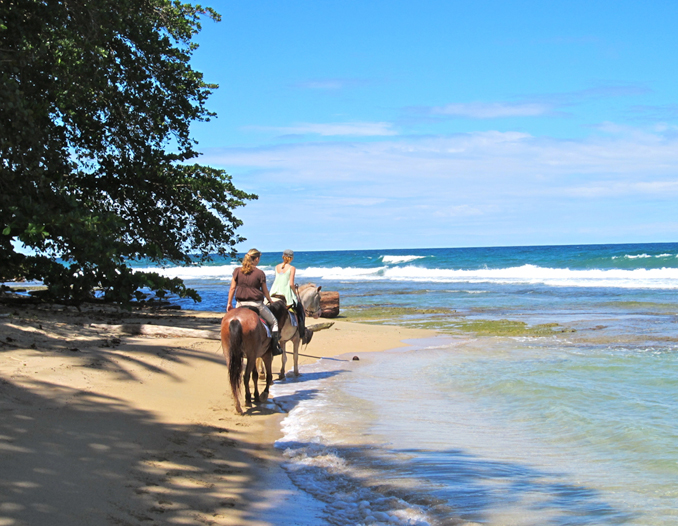 Horseback Riding - Two and half hour tour Congo Bongo