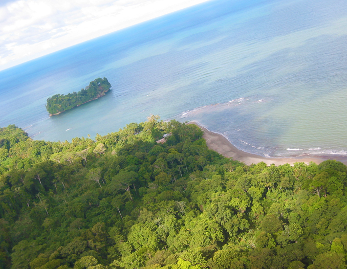 Punta Mona Hike (Congo Bongo)