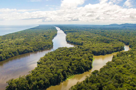 Tortuguero + Pacuare 3 Day/ 2 Night Trip La Casona (Economy) La Baula (Standard)  Congo Bongo