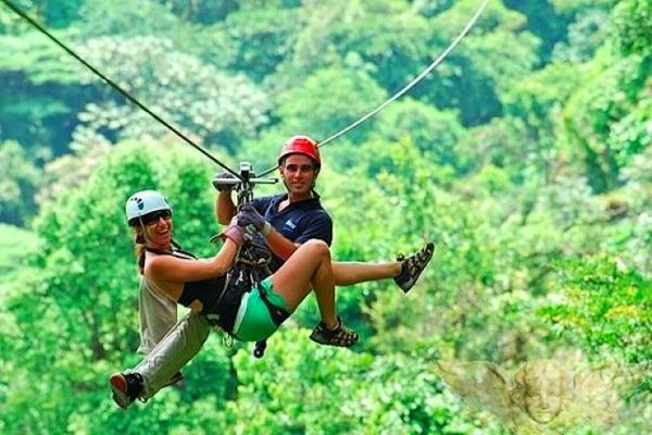 Caribbean Canopy Zipline (Cat)