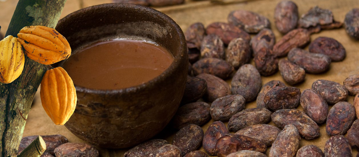 Indigenous Chocolate Experience and Bribri Waterfall (Cat)