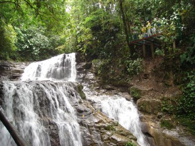 Veragua Rainforest Bird Watching