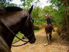 Horseback Riding at Nauyaca Waterfalls