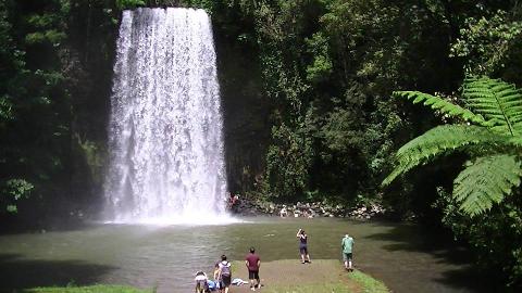 Water Falls Tour of the Spectacular Cairns and Atherton Tablelands World Heritage Area