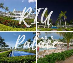 Playas del Coco to RIU Palace - Private VIP Shuttle Service