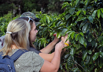 Costa Rica Coffee & Chocolate Tour - Monteverde