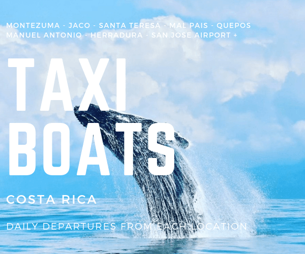 Taxi Boat  from Santa Teresa to Uvita