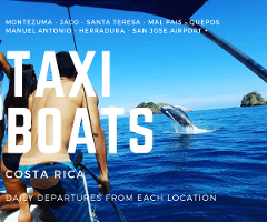 Taxi Boat from Uvita to Montezuma