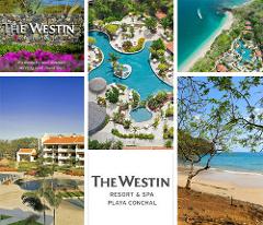 Jaco to The Westin Resort Playa Conchal - Private Transportation Service