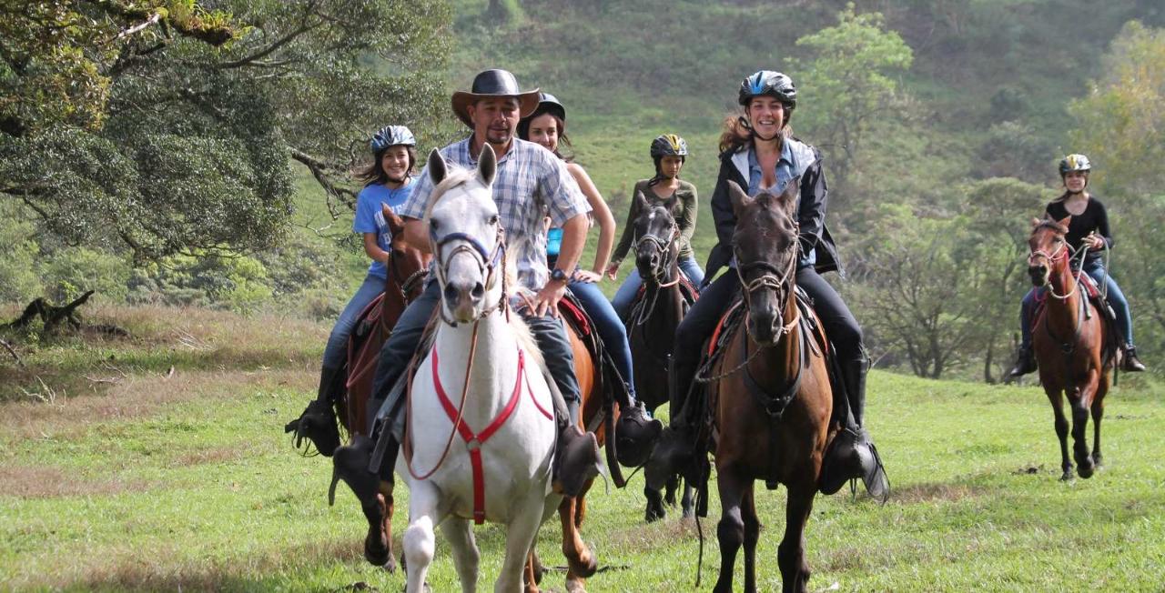 Horseback Riding to Eden Waterfall - Monteverde