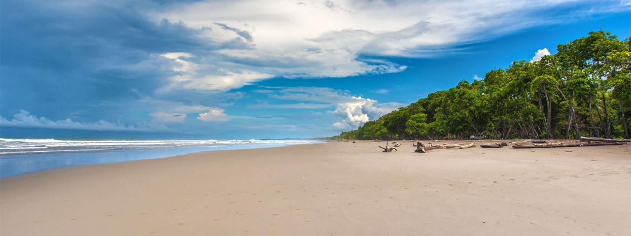 Manuel Antonio to Uvita - Shared Shuttle Service