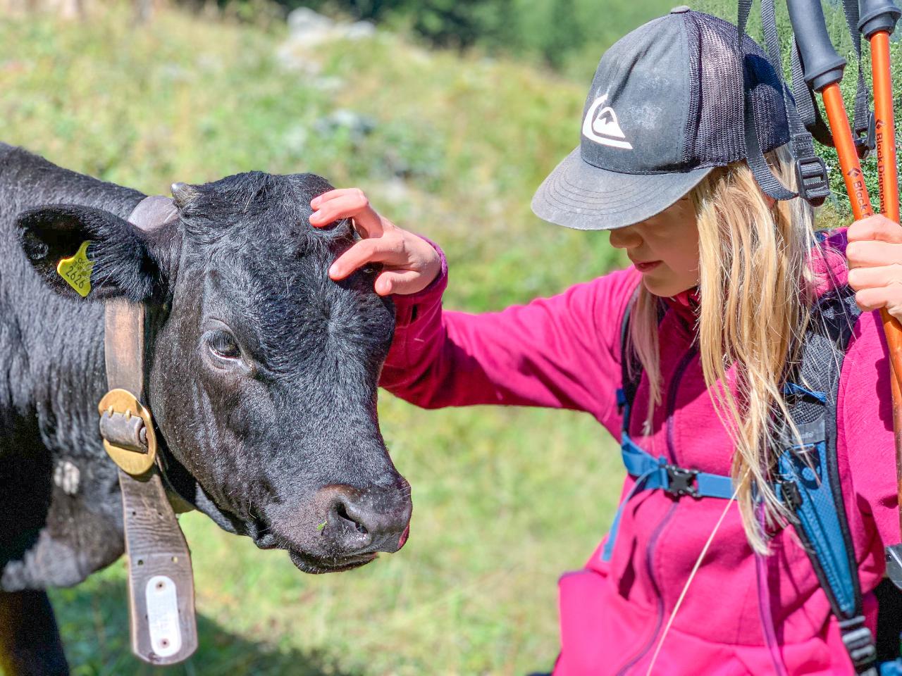 Mags Self Guided Tour du Mont Blanc Family 4.5 Days