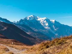 Tour du Mont Blanc Guided Trek Highlights