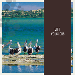 GIFT VOUCHER for Coorong Discovery Cruise