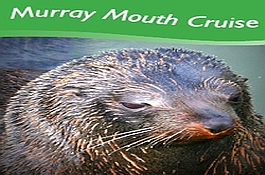 Murray Mouth Cruise