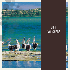 GIFT VOUCHER ($100)