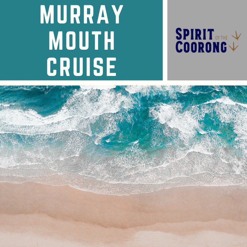 Murray Mouth Cruise
