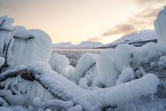 Discover the Best of Abisko